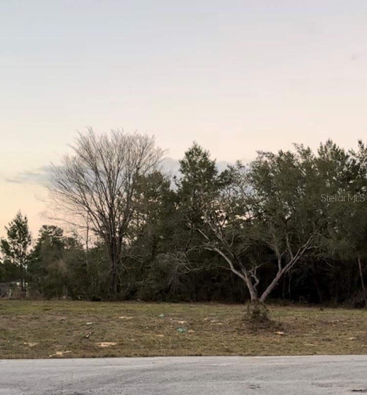 169 SW LANE RD #13, OCALA, FL, 34473