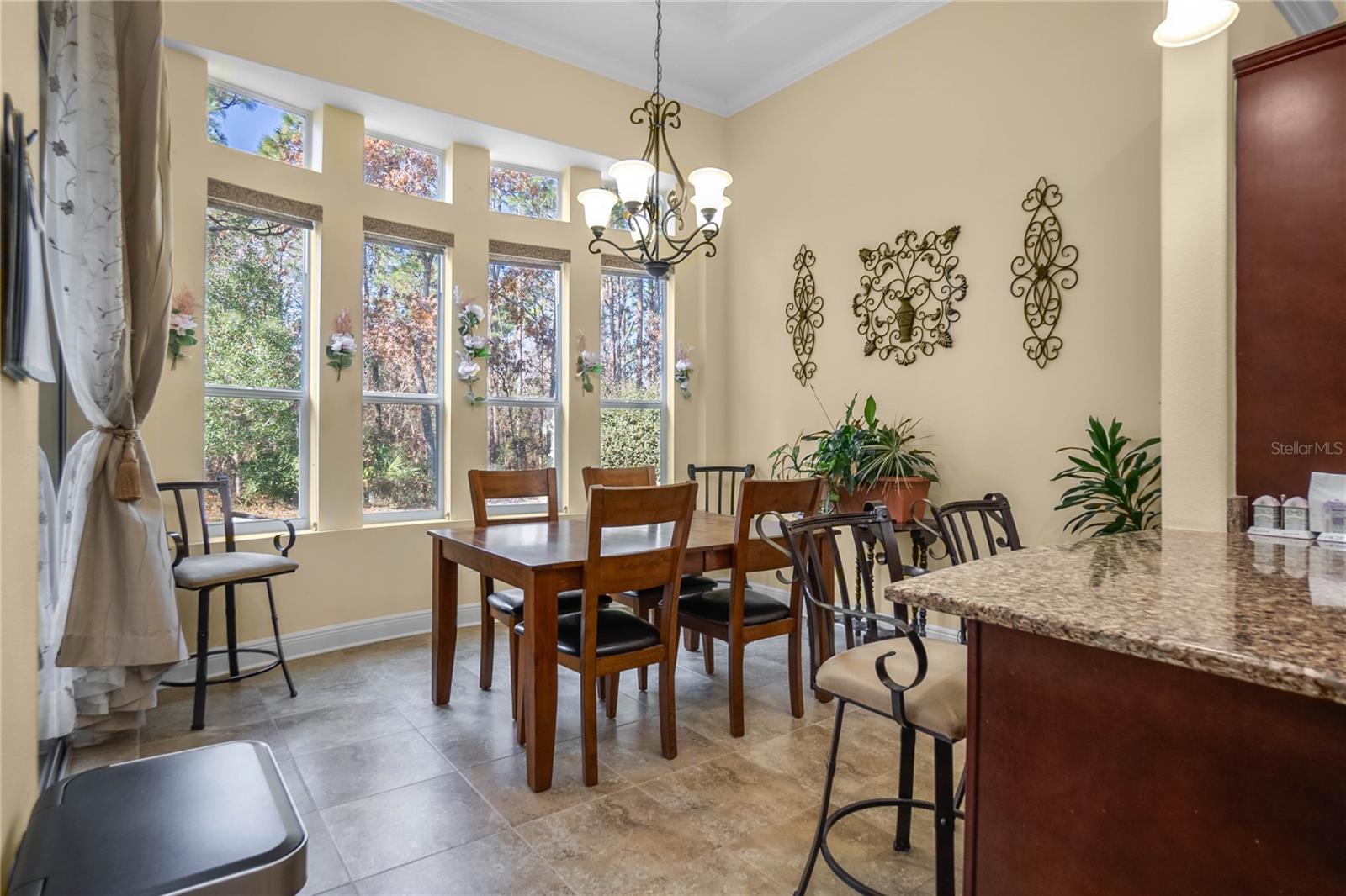 10 SNAPDRAGONS CT, HOMOSASSA, FL, 34446