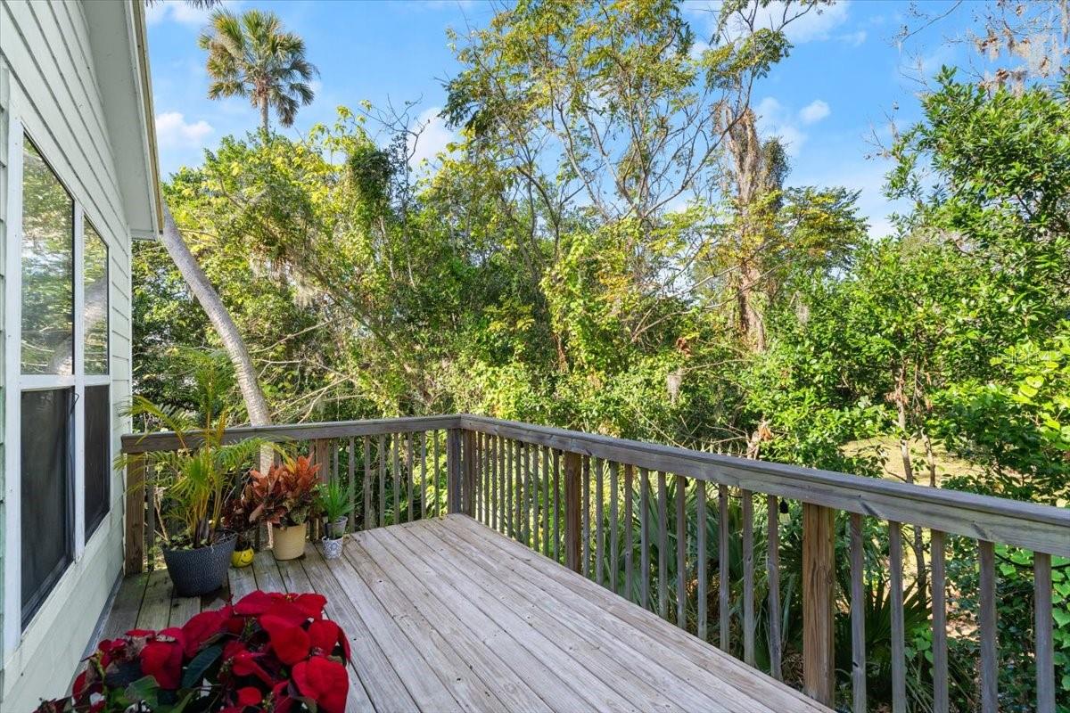 636 FAULKNER ST, NEW SMYRNA BEACH, FL, 32168