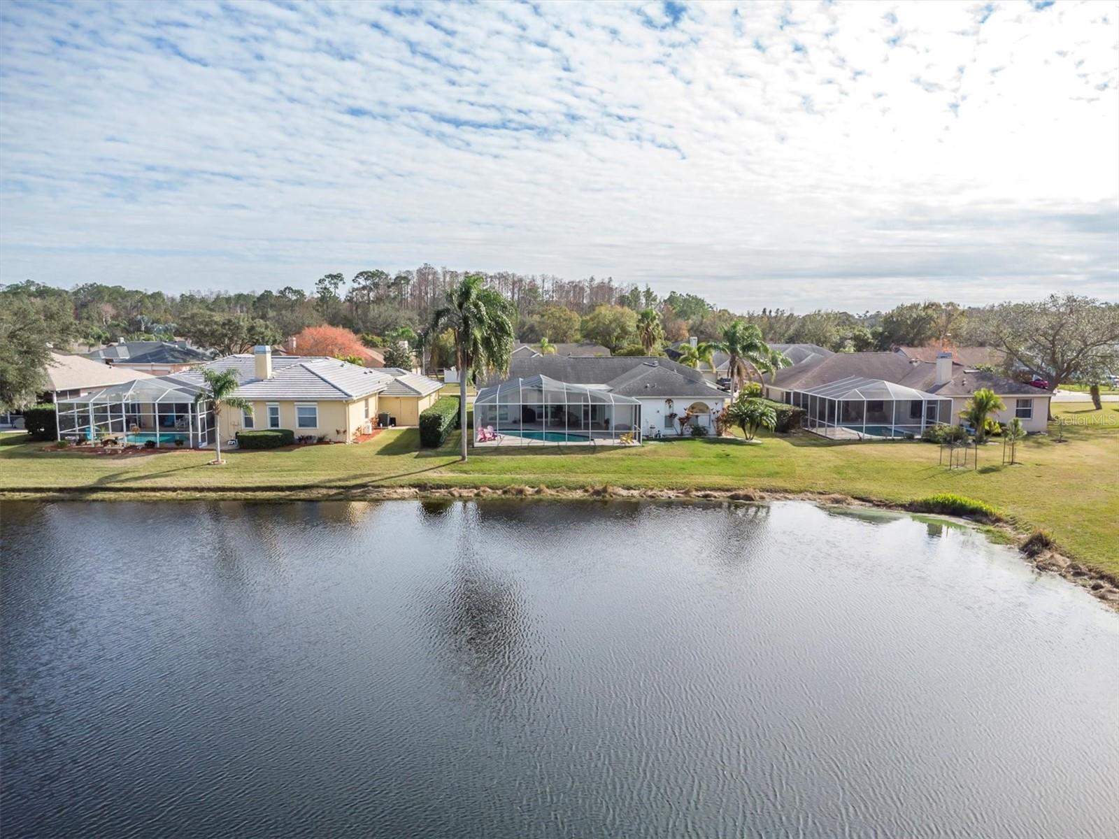 5471 STALLION LAKE DR, PALM HARBOR, FL, 34685