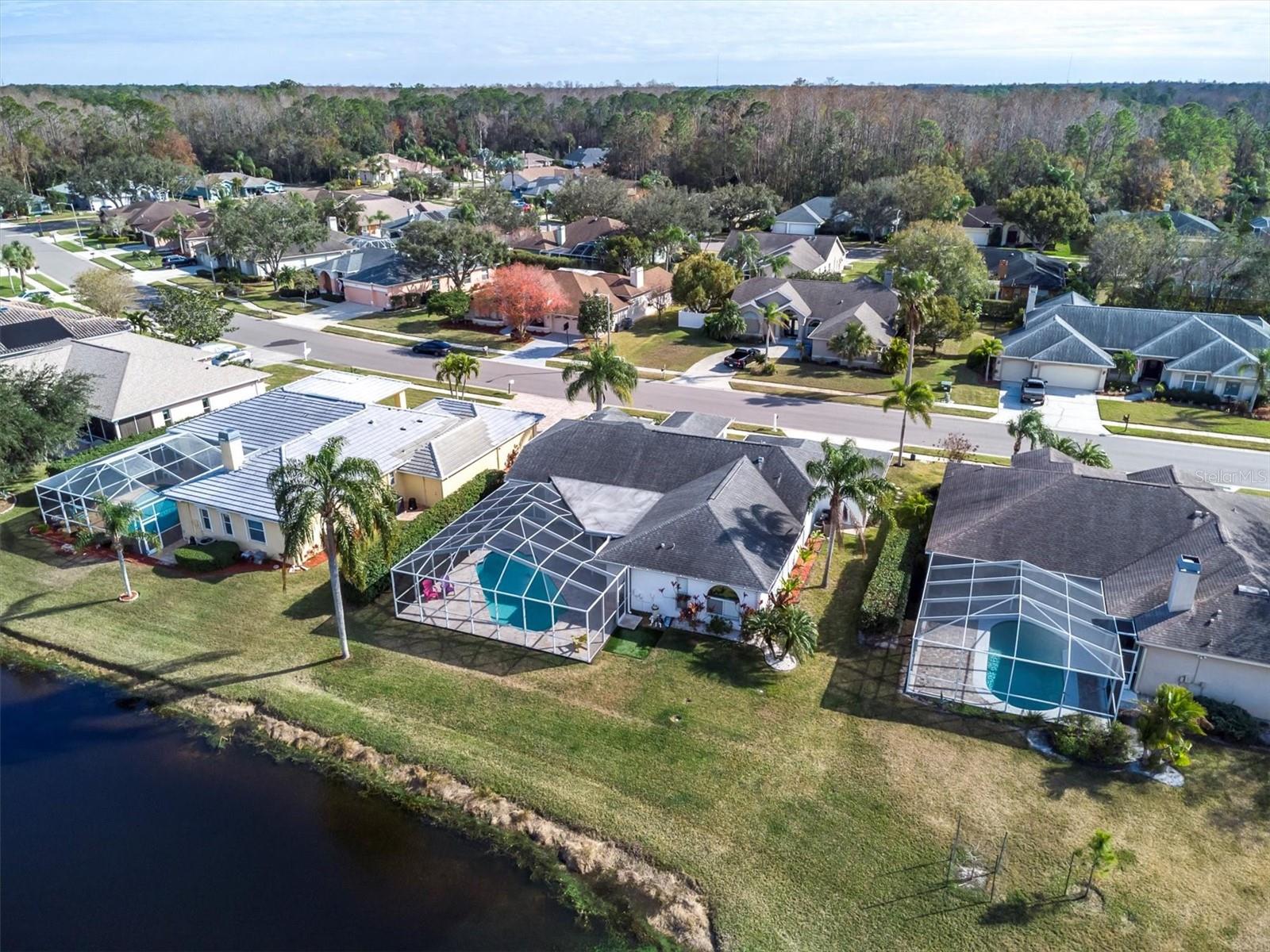 5471 STALLION LAKE DR, PALM HARBOR, FL, 34685