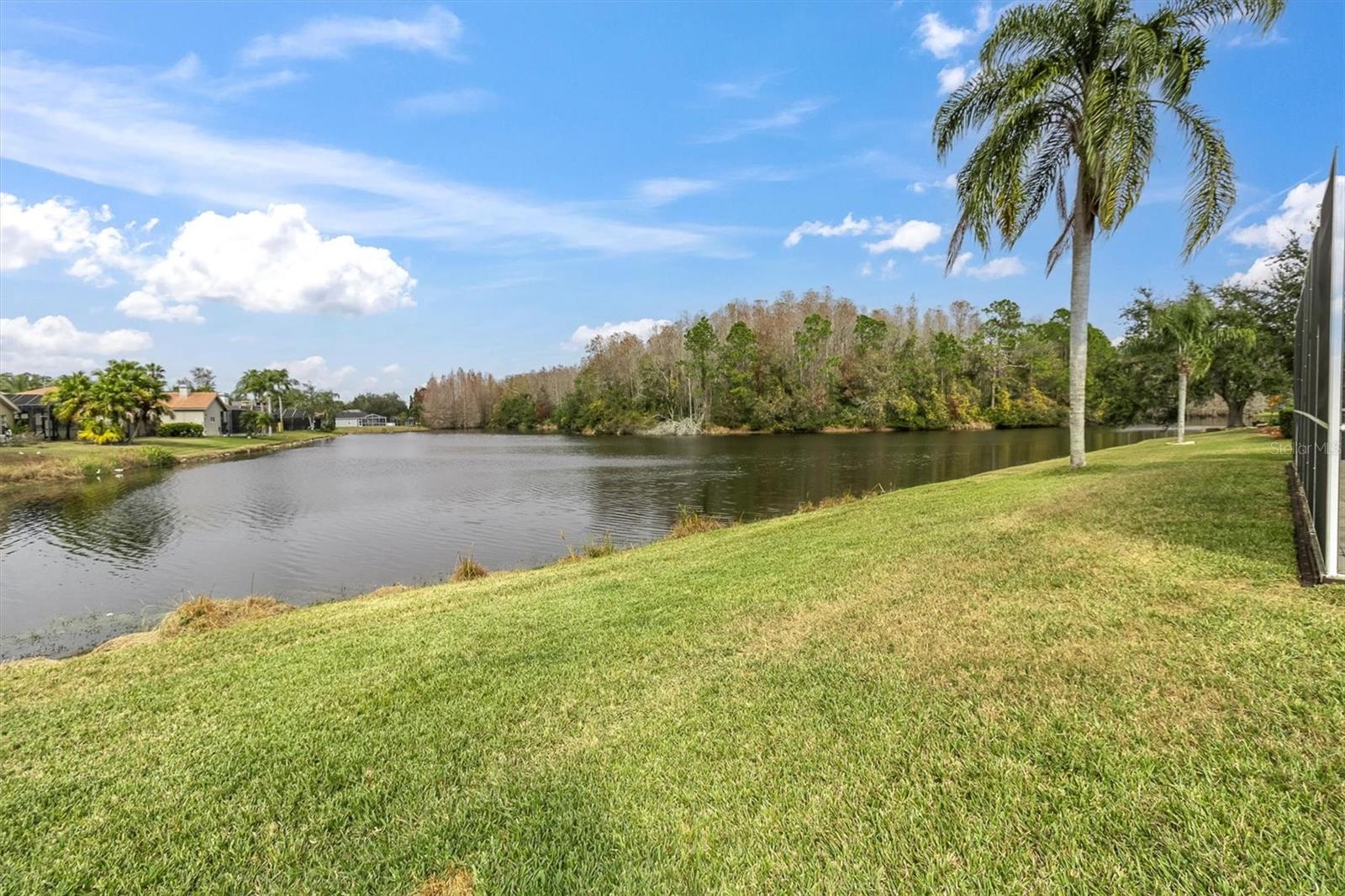 5471 STALLION LAKE DR, PALM HARBOR, FL, 34685