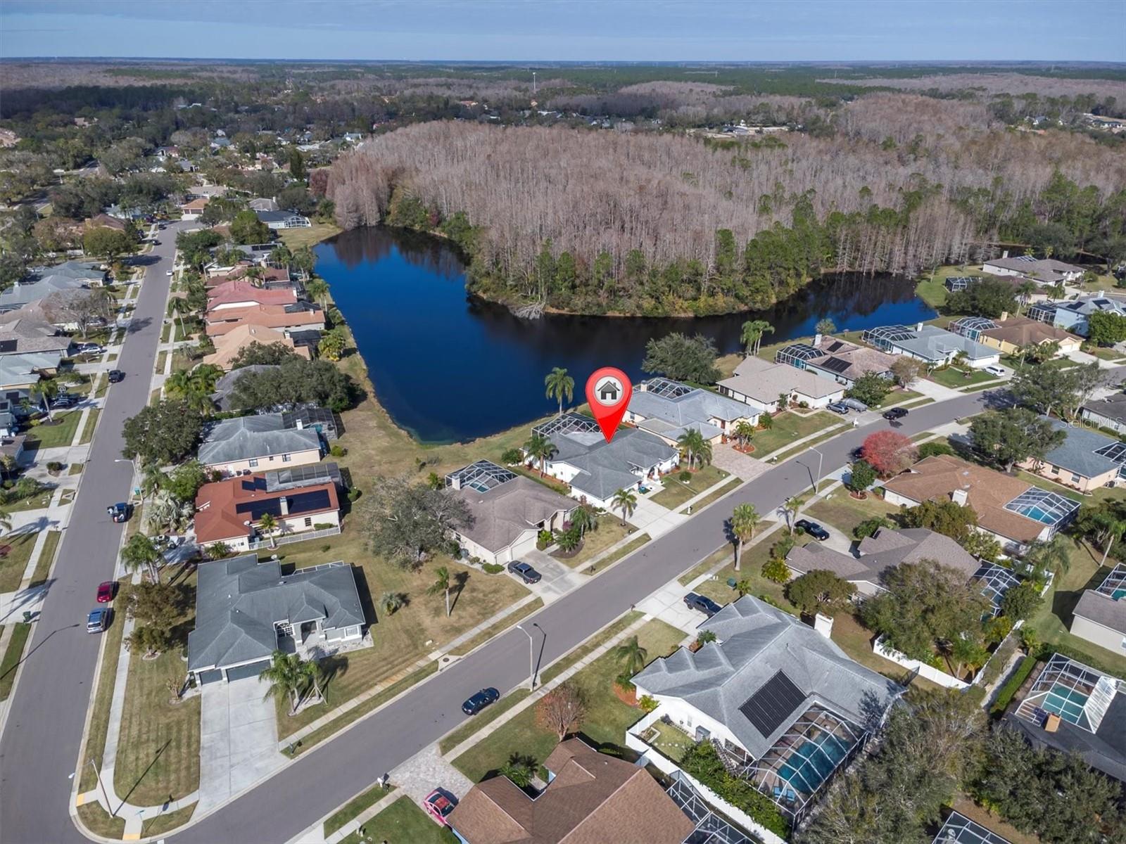 5471 STALLION LAKE DR, PALM HARBOR, FL, 34685