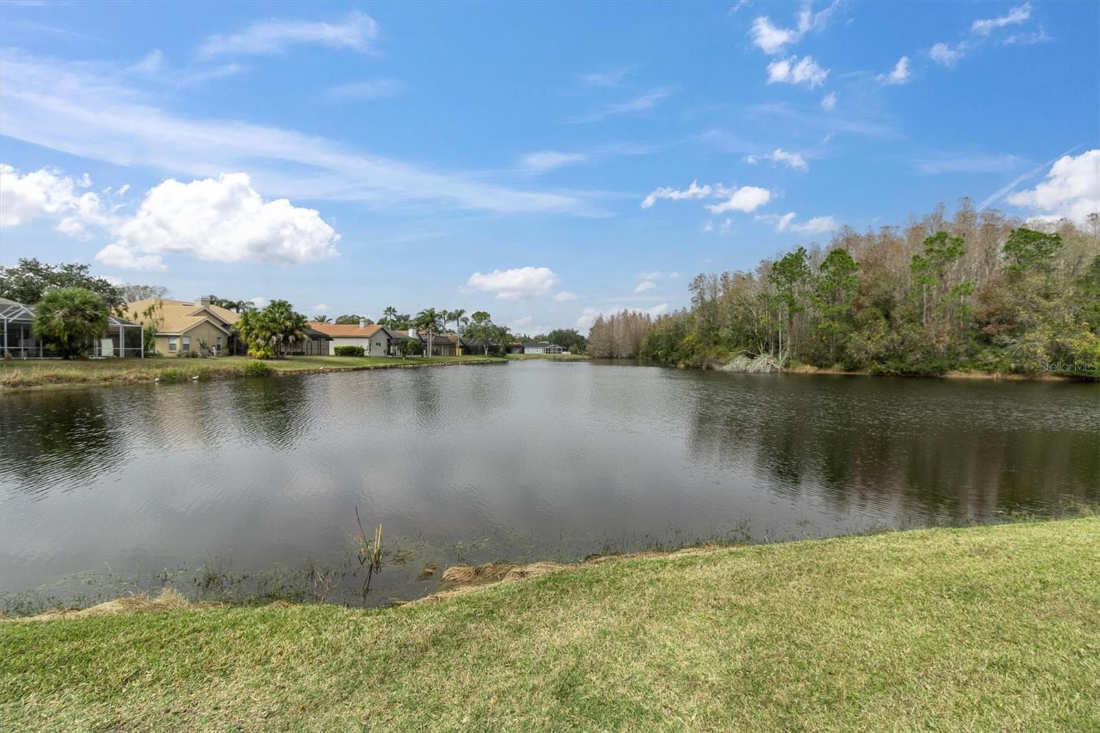 5471 STALLION LAKE DR, PALM HARBOR, FL, 34685