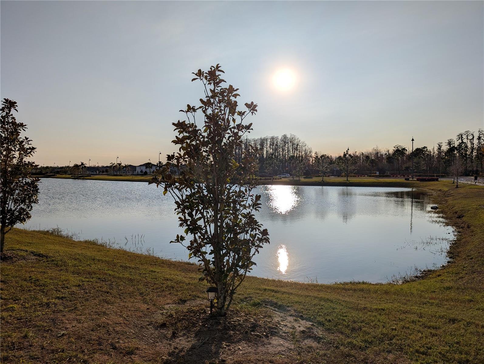 3005 SUNCOAST BLEND DR, ODESSA, FL, 33556