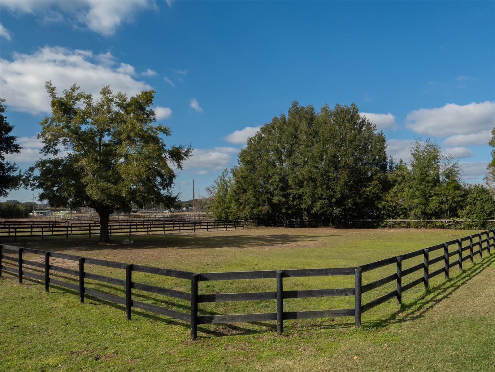 619 NE 117TH ST, OCALA, FL, 34479