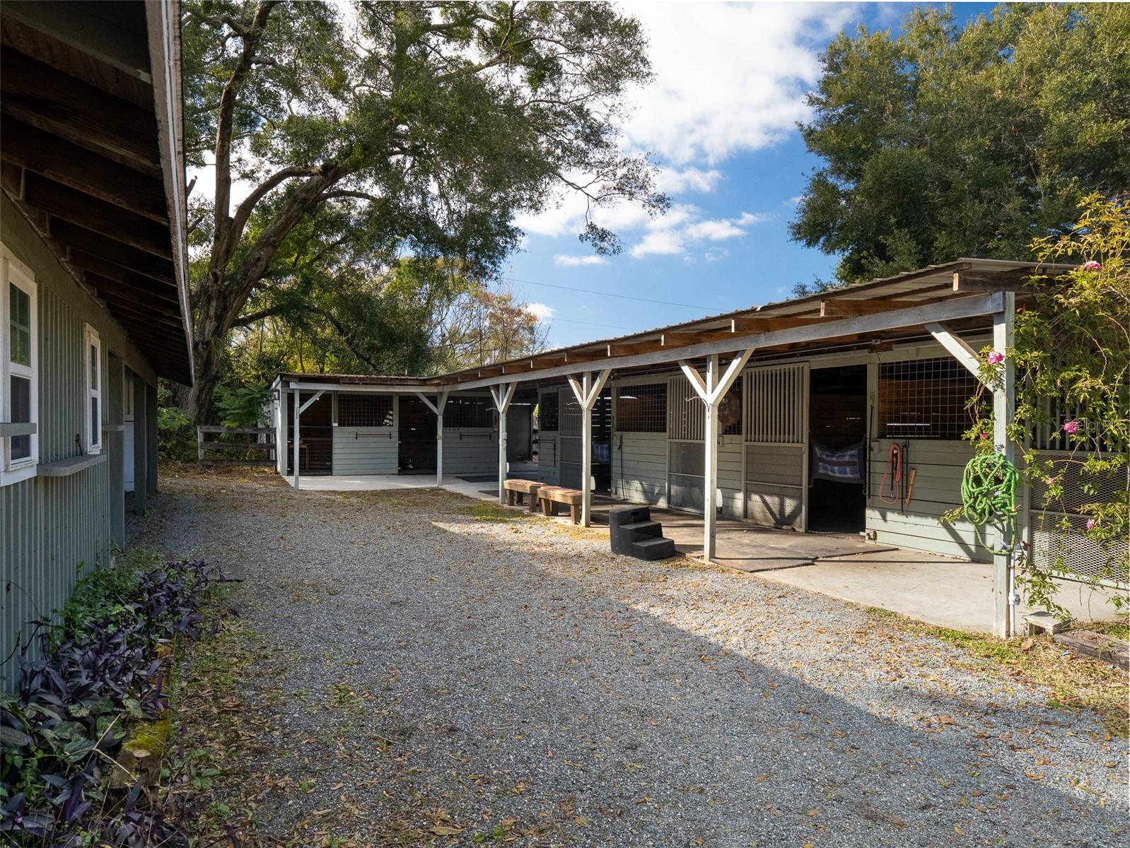 619 NE 117TH ST, OCALA, FL, 34479