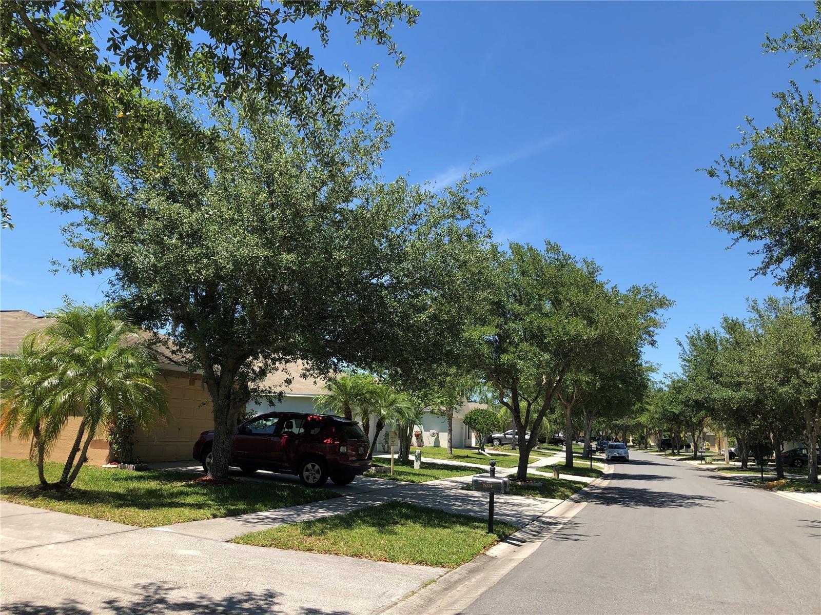 18116 PORTSIDE ST, TAMPA, FL, 33647