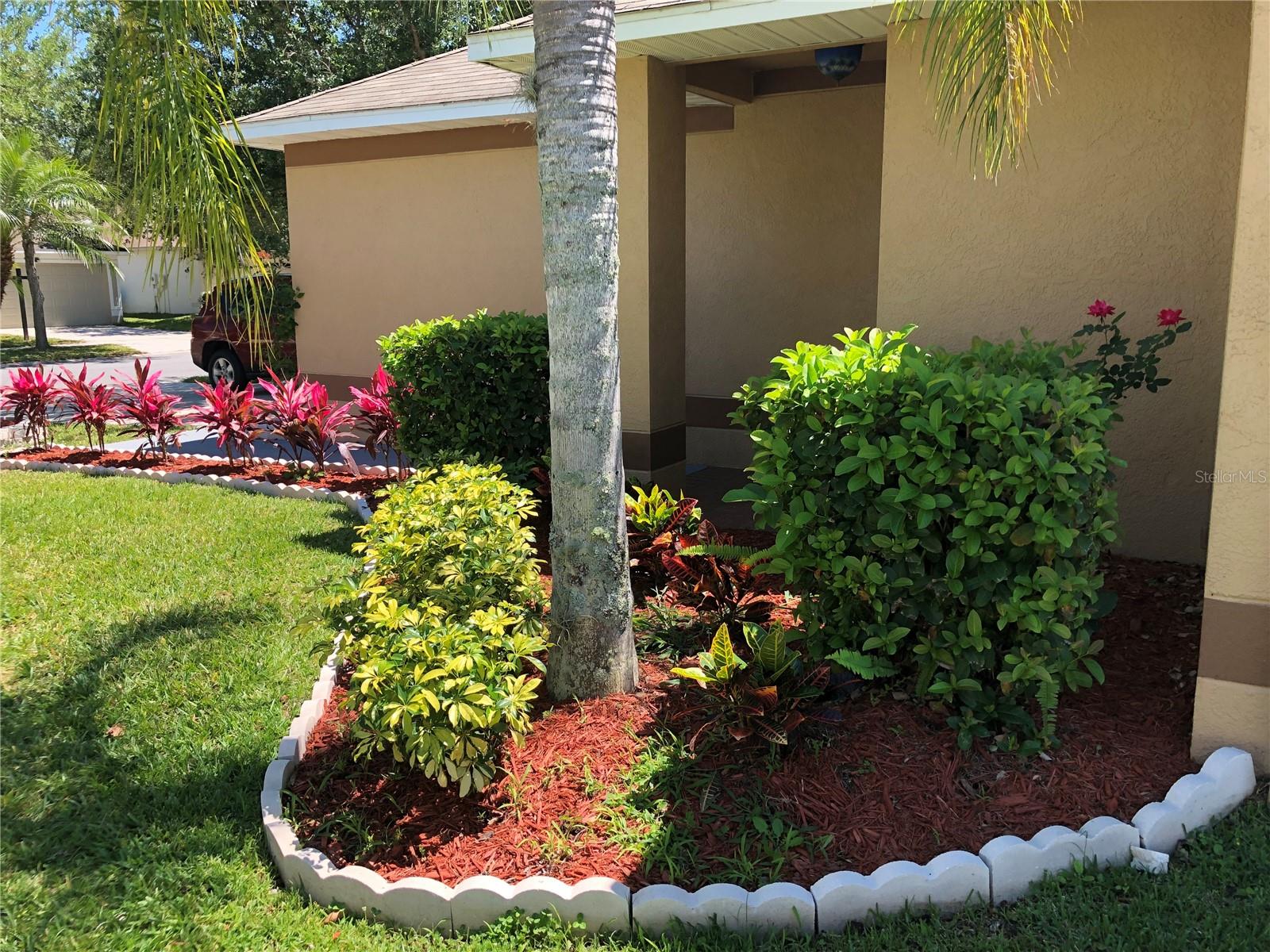 18116 PORTSIDE ST, TAMPA, FL, 33647