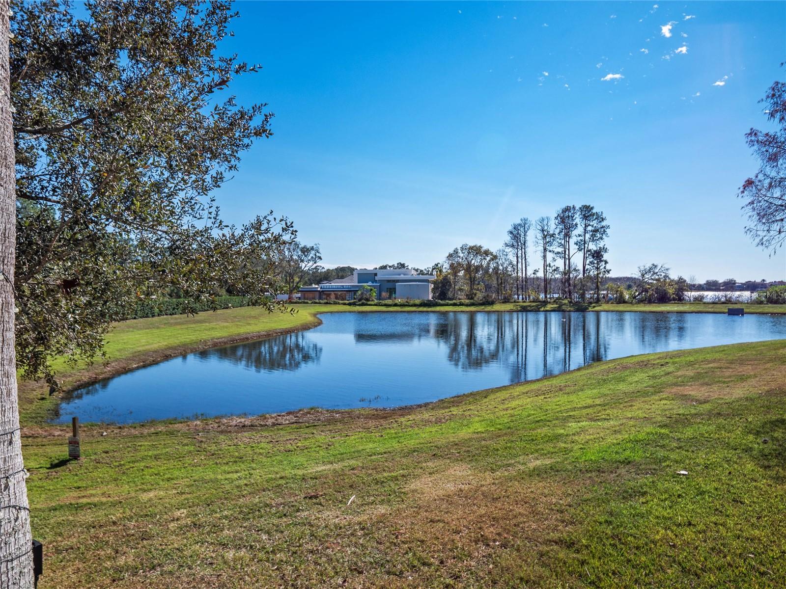14442 AVENUE OF THE RUSHES, WINTER GARDEN, FL, 34787
