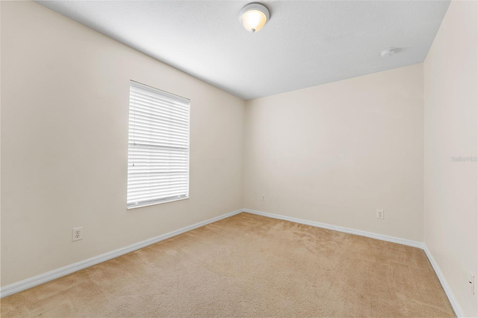 5037 WHITE SANDERLING CT, TAMPA, FL, 33619