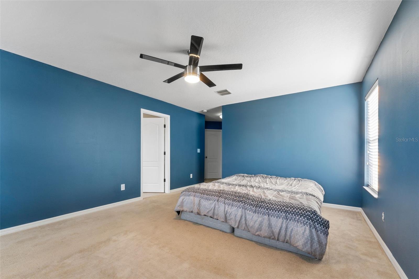 5037 WHITE SANDERLING CT, TAMPA, FL, 33619