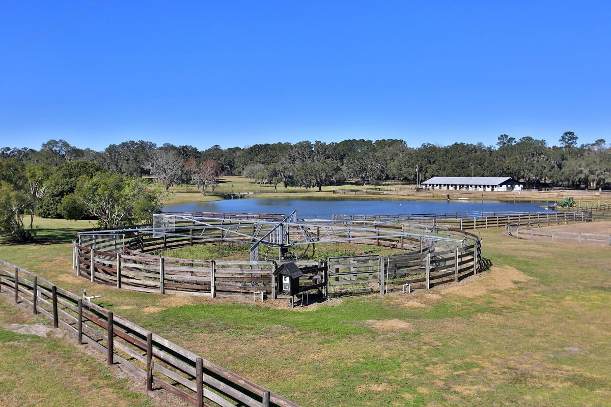 OM692861 Property Photo