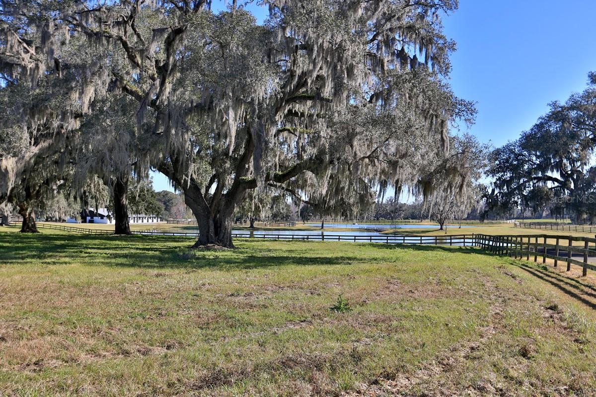 OM692861 Property Photo