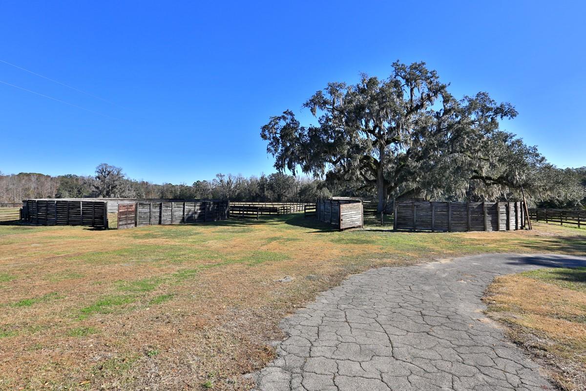 OM692861 Property Photo