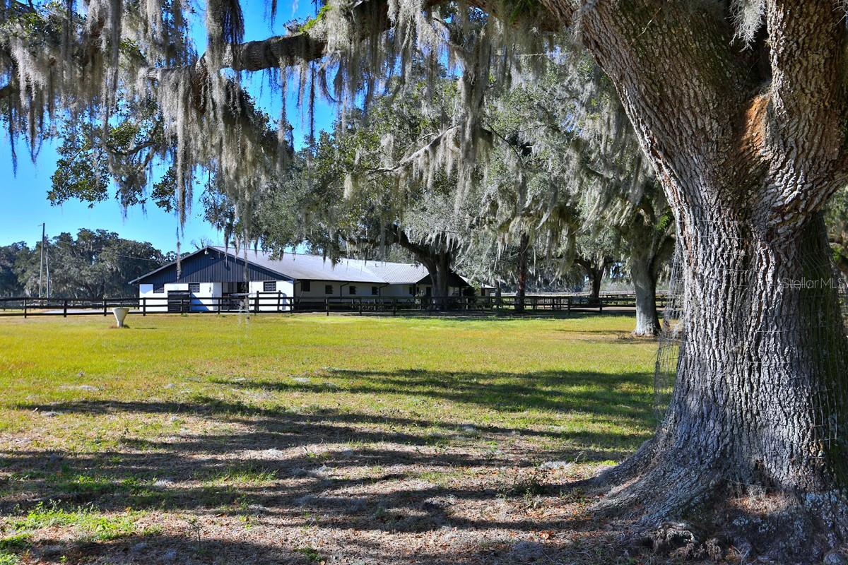 OM692861 Property Photo