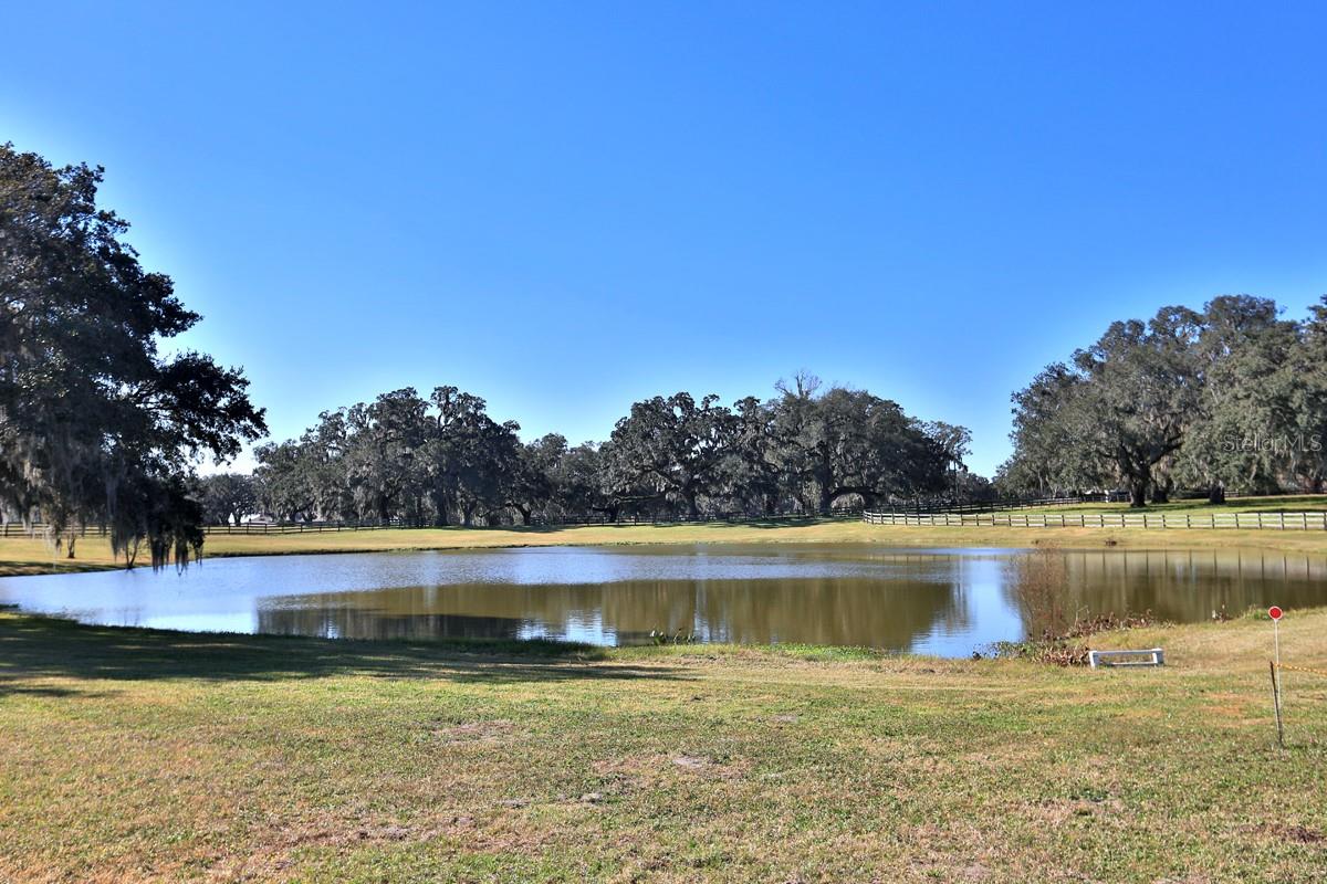 OM692861 Property Photo