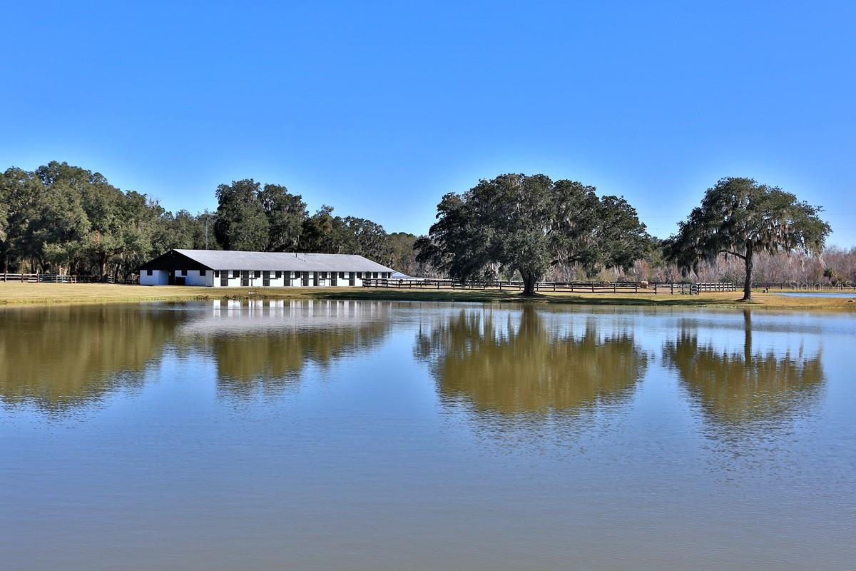 OM692861 Property Photo