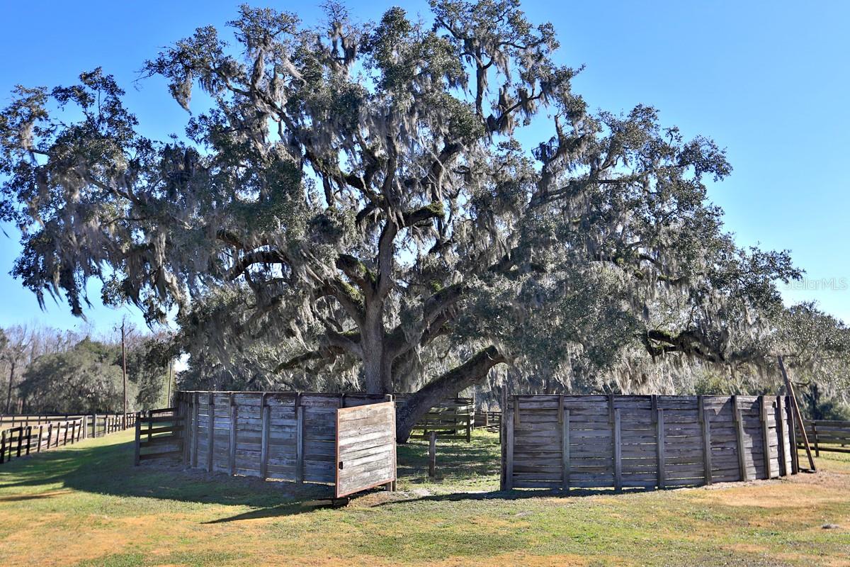 OM692861 Property Photo