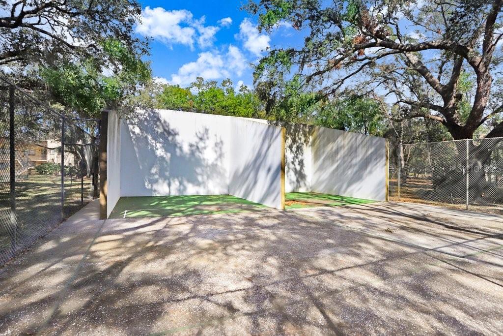 11803 RAINTREE LAKE LN #A, TAMPA, FL, 33617