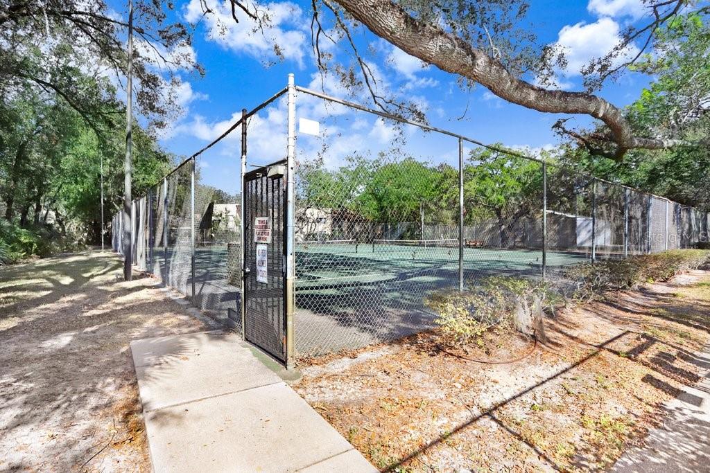 11803 RAINTREE LAKE LN #A, TAMPA, FL, 33617