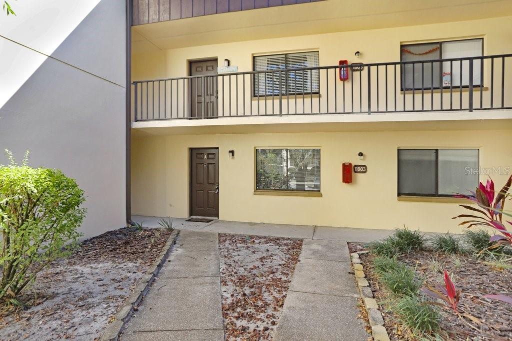 11803 RAINTREE LAKE LN #A, TAMPA, FL, 33617