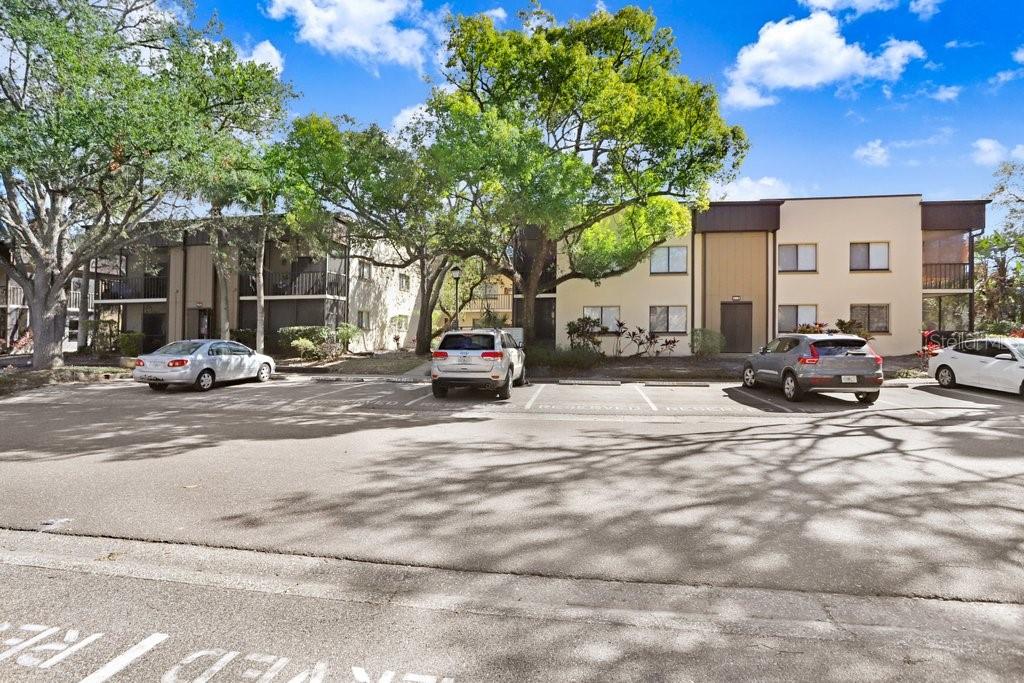 11803 RAINTREE LAKE LN #A, TAMPA, FL, 33617