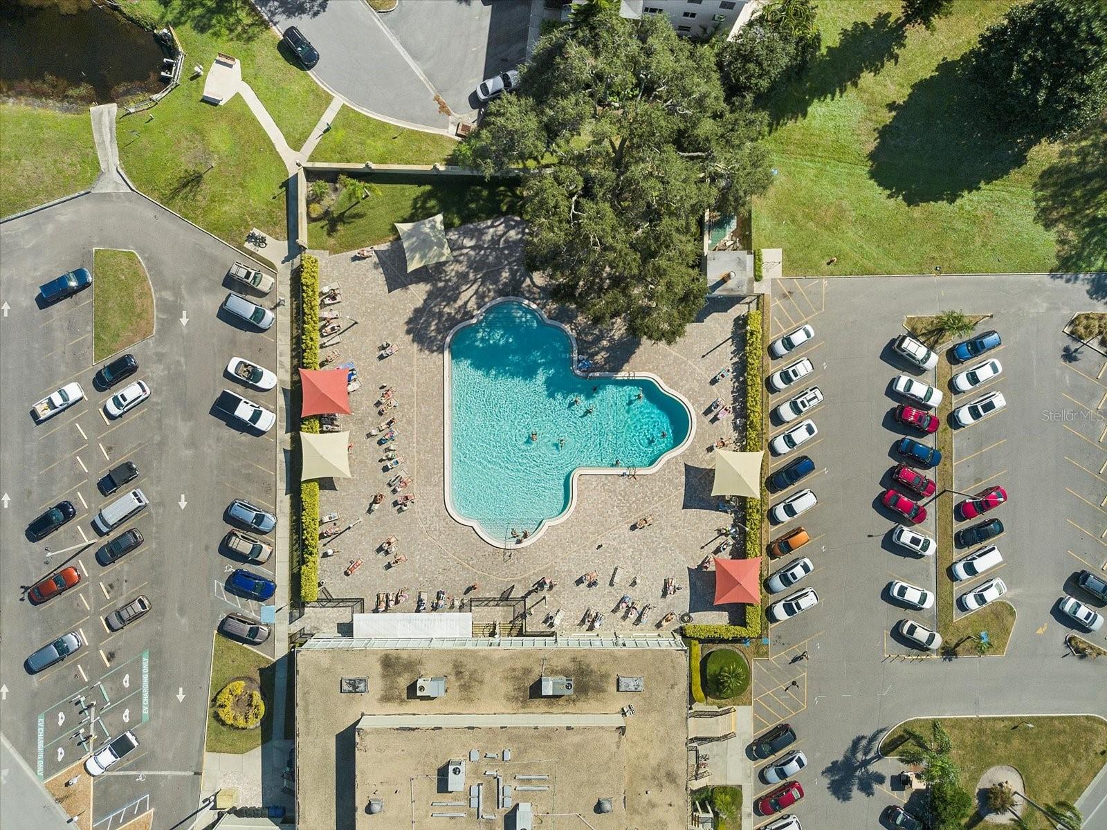 2362 JAMAICAN ST #4, CLEARWATER, FL, 33763