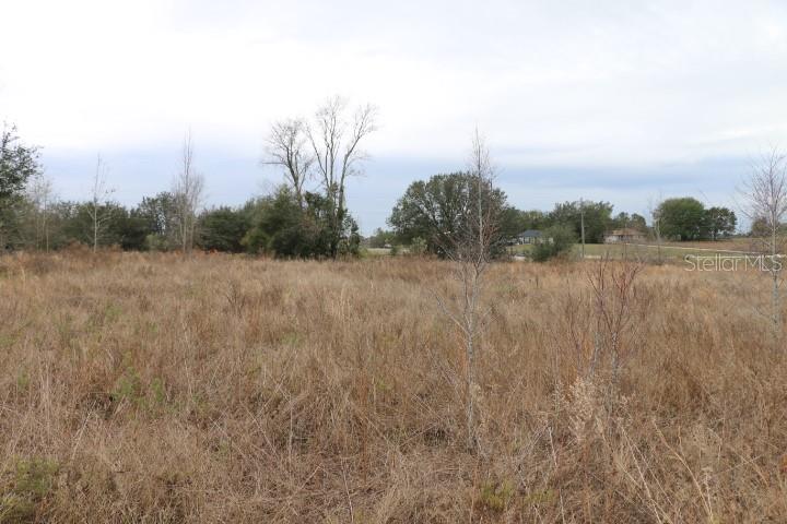 EMPIRE CHURCH RD, GROVELAND, FL, 34736