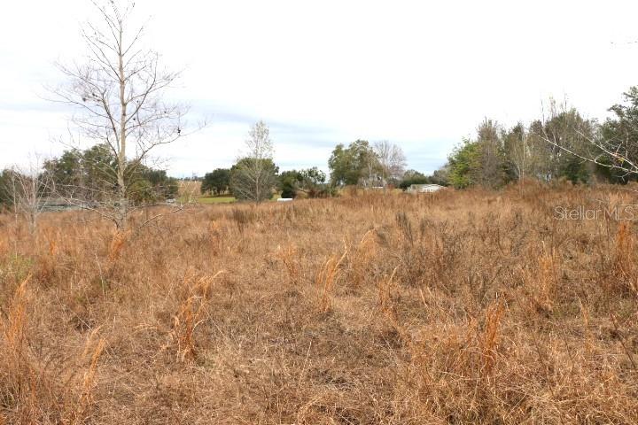 EMPIRE CHURCH RD, GROVELAND, FL, 34736