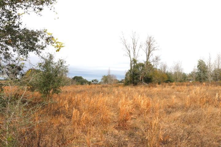 EMPIRE CHURCH RD, GROVELAND, FL, 34736