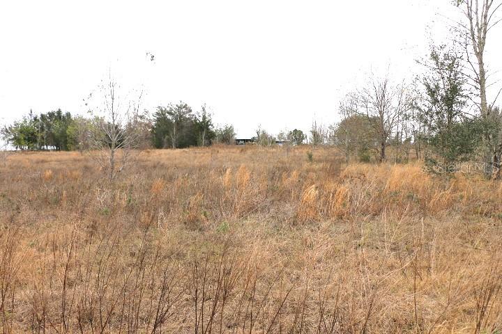 EMPIRE CHURCH RD, GROVELAND, FL, 34736