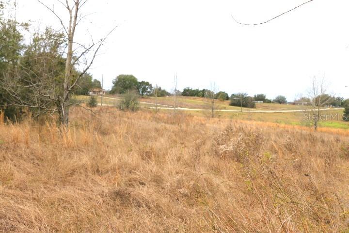 EMPIRE CHURCH RD, GROVELAND, FL, 34736