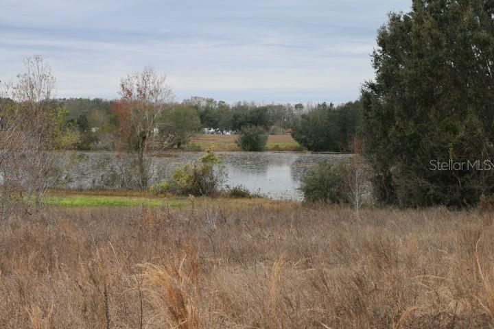 EMPIRE CHURCH RD, GROVELAND, FL, 34736