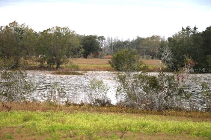 EMPIRE CHURCH RD, GROVELAND, FL, 34736