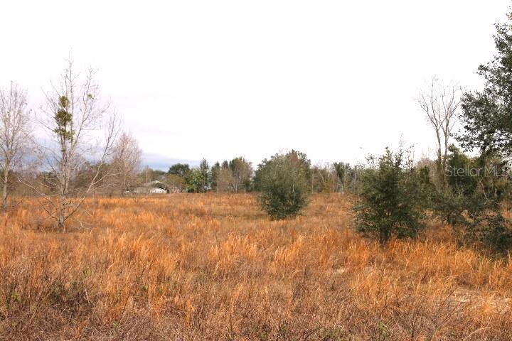 EMPIRE CHURCH RD, GROVELAND, FL, 34736