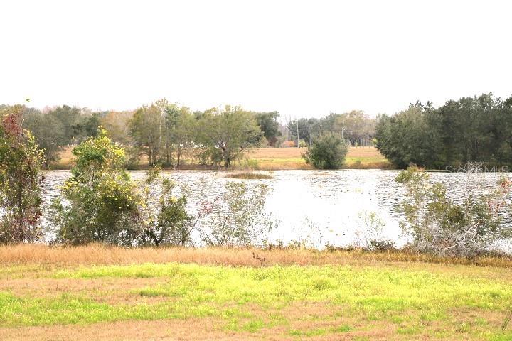 EMPIRE CHURCH RD, GROVELAND, FL, 34736