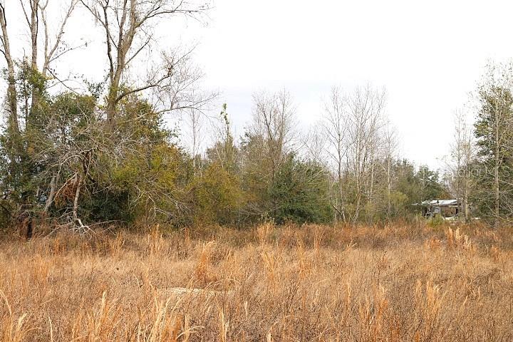 EMPIRE CHURCH RD, GROVELAND, FL, 34736