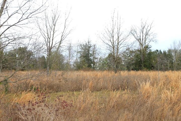 EMPIRE CHURCH RD, GROVELAND, FL, 34736