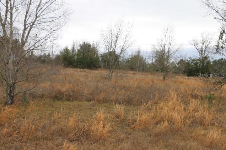 EMPIRE CHURCH RD, GROVELAND, FL, 34736