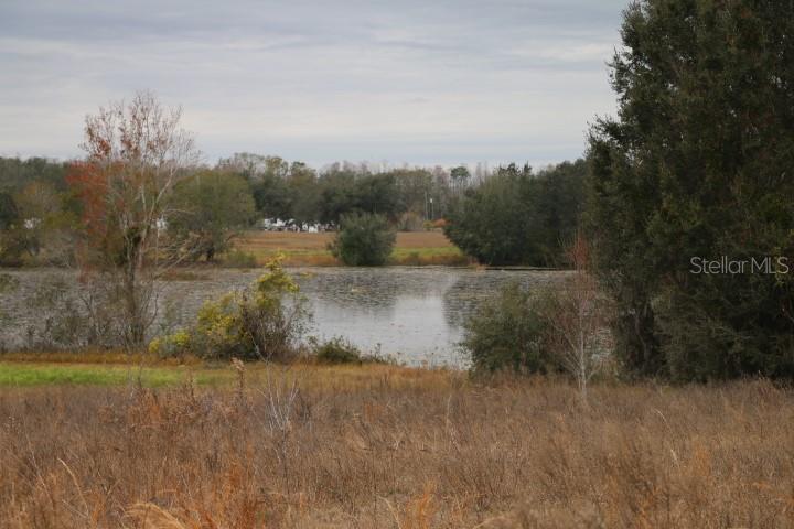 EMPIRE CHURCH RD, GROVELAND, FL, 34736