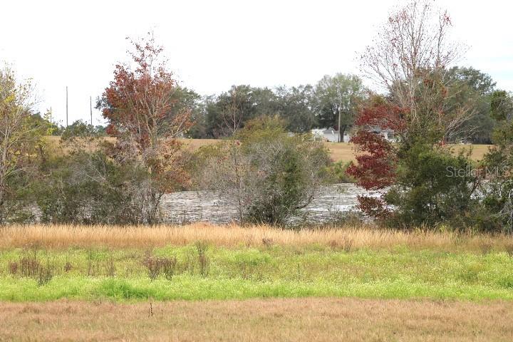 EMPIRE CHURCH RD, GROVELAND, FL, 34736