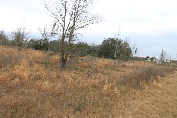 EMPIRE CHURCH RD, GROVELAND, FL, 34736