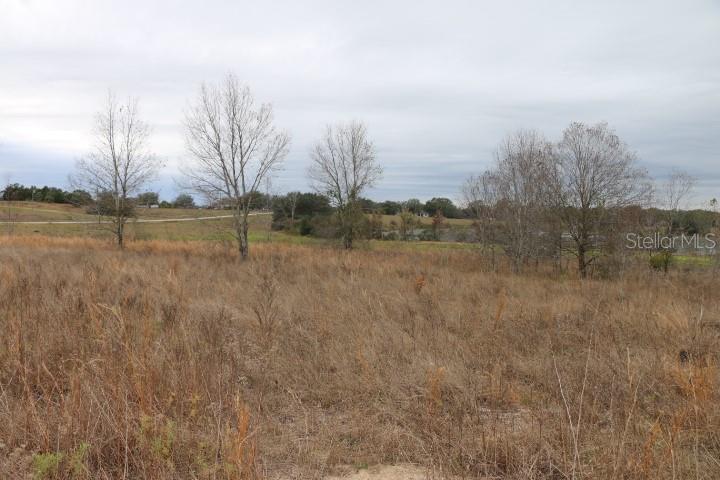 EMPIRE CHURCH RD, GROVELAND, FL, 34736