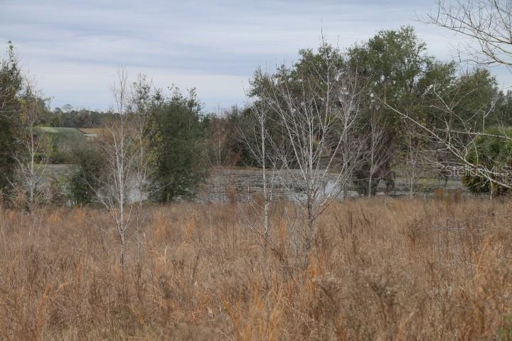 EMPIRE CHURCH RD, GROVELAND, FL, 34736