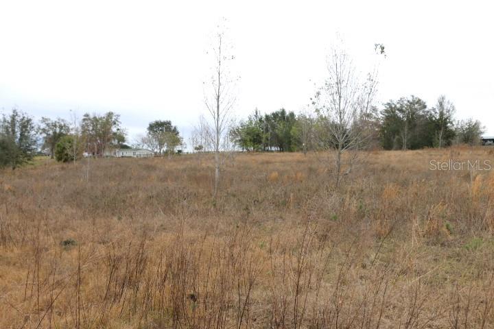 EMPIRE CHURCH RD, GROVELAND, FL, 34736