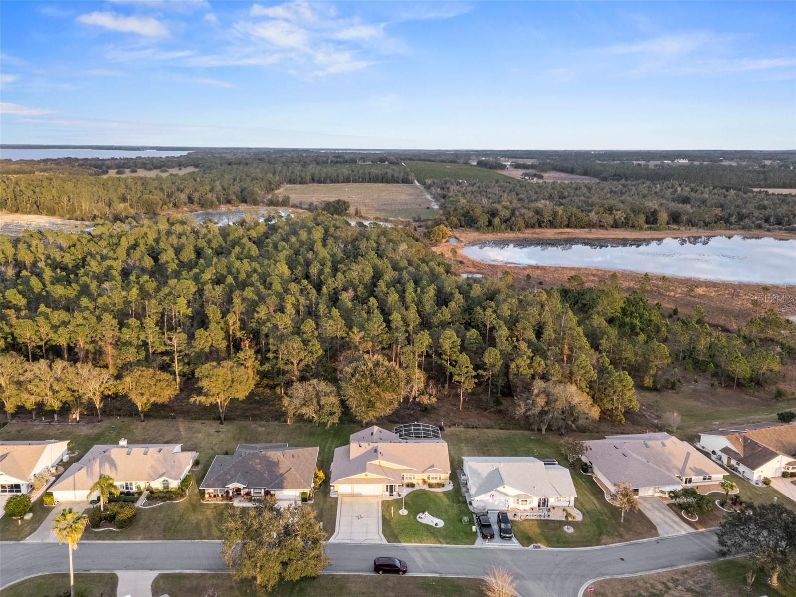 6525 BORG ST, LEESBURG, FL, 34748