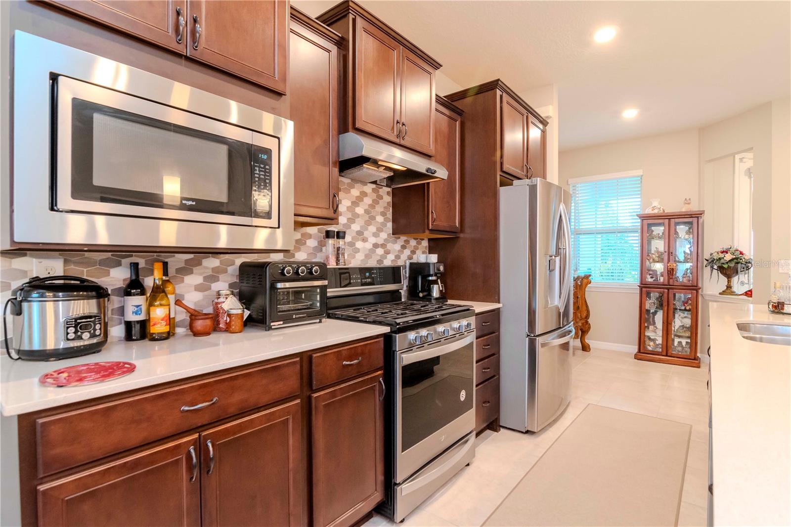 19367 COASTAL SHORE TER, LAND O LAKES, FL, 34638