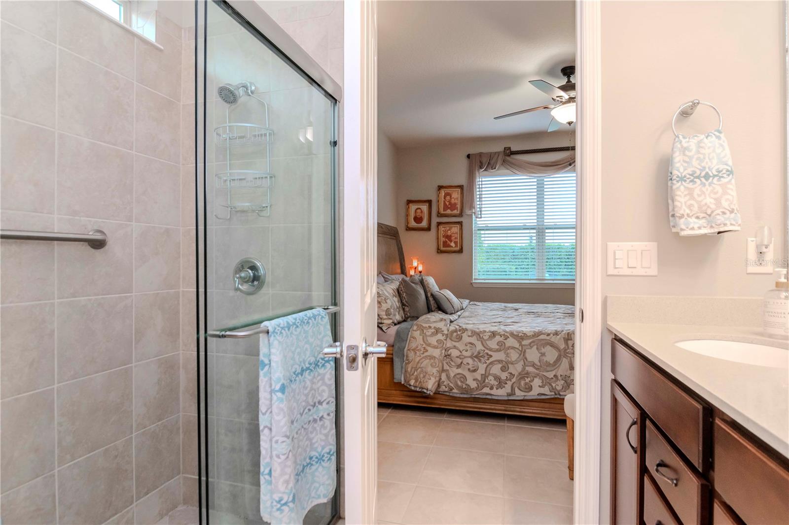 19367 COASTAL SHORE TER, LAND O LAKES, FL, 34638
