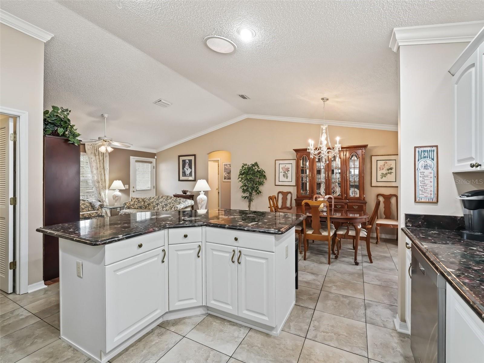 9203 SE 179TH LUNSFORD LN, THE VILLAGES, FL, 32162